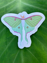 Load image into Gallery viewer, Luna Moth Sticker
