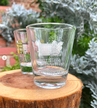 Load image into Gallery viewer, Rainbow Row Shot Glass
