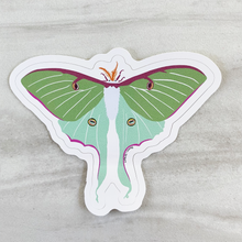 Load image into Gallery viewer, Luna Moth Sticker
