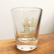 Load image into Gallery viewer, Rainbow Row Shot Glass
